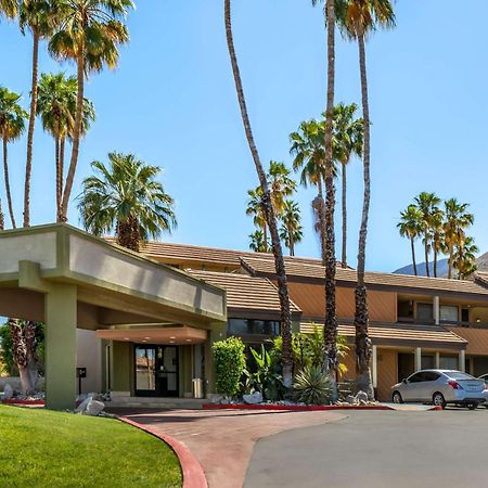 Best Western Inn At Palm Springs Eksteriør billede